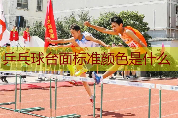 乒乓球台面标准颜色是什么