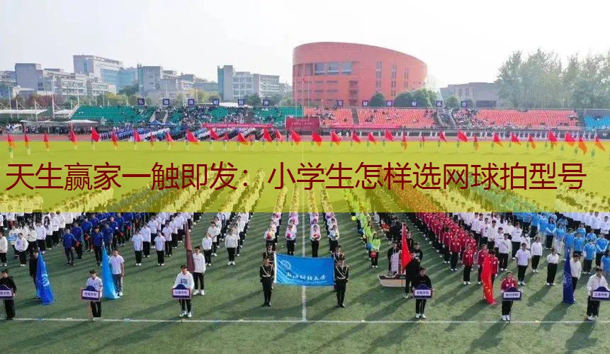 小学生怎样选网球拍型号