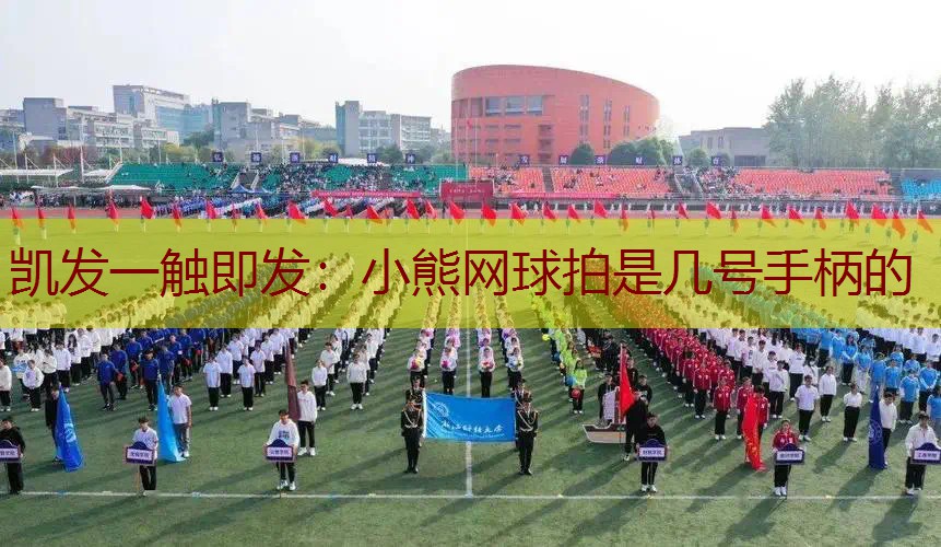 小熊网球拍是几号手柄的
