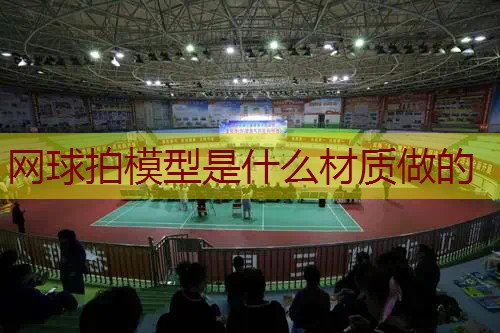 网球拍模型是什么材质做的