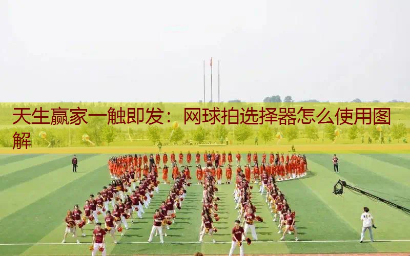 网球拍选择器怎么使用图解