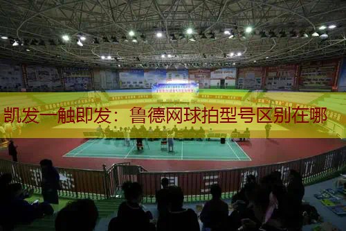 鲁德网球拍型号区别在哪