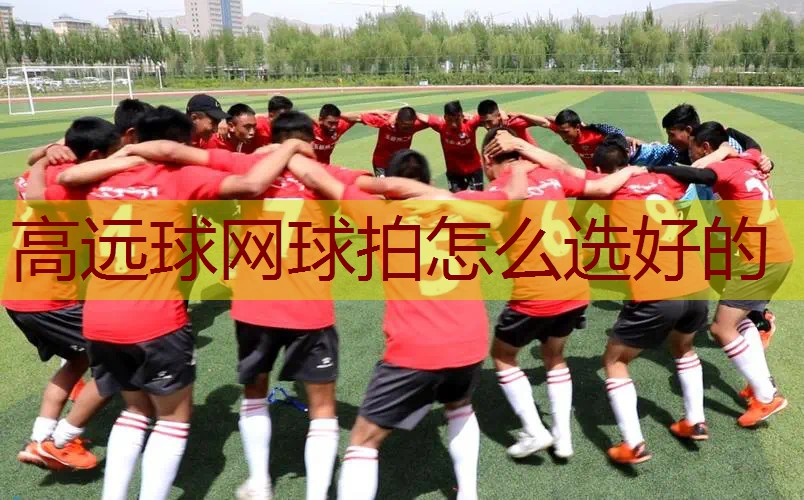 高远球网球拍怎么选好的