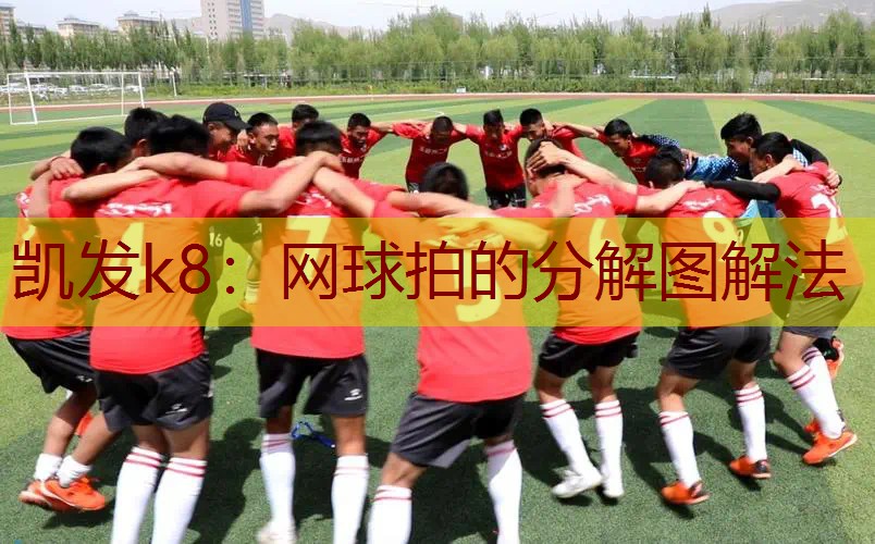 网球拍的分解图解法