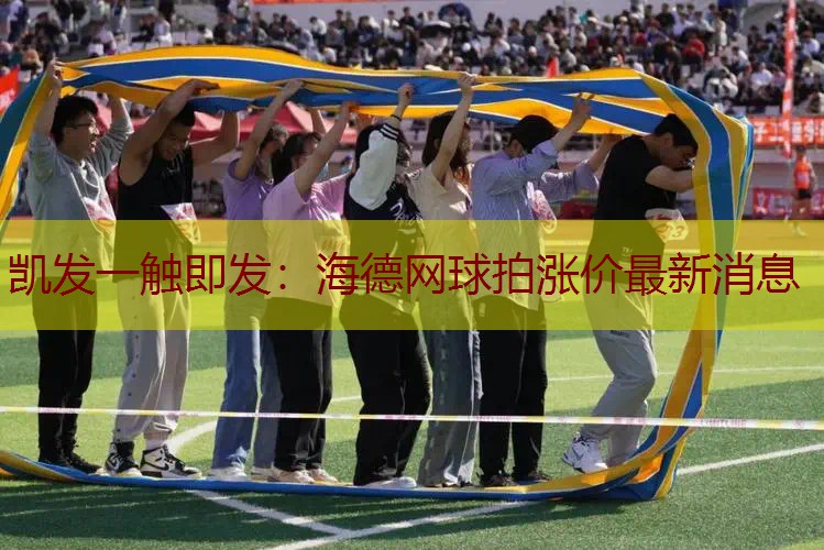 海德网球拍涨价最新消息