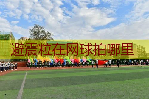 避震粒在网球拍哪里