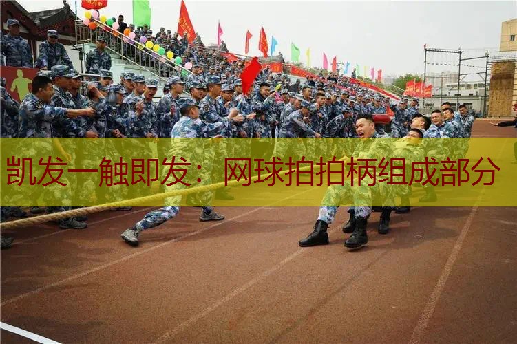 网球拍拍柄组成部分