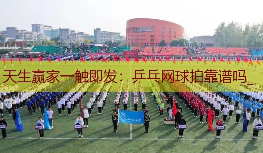 乒乓网球拍靠谱吗_