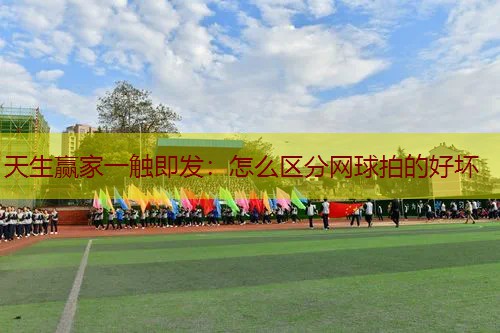 怎么区分网球拍的好坏