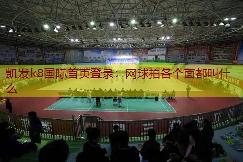 网球拍各个面都叫什么
