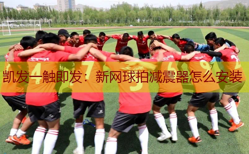 新网球拍减震器怎么安装