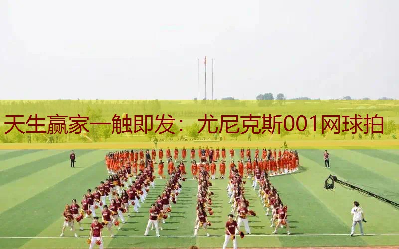 尤尼克斯001网球拍