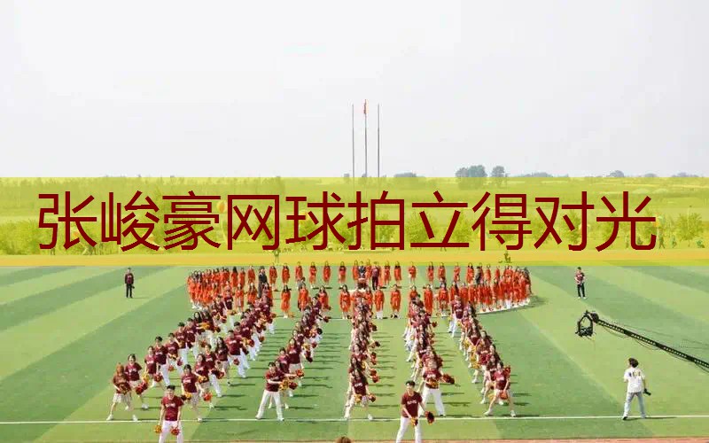 张峻豪网球拍立得对光