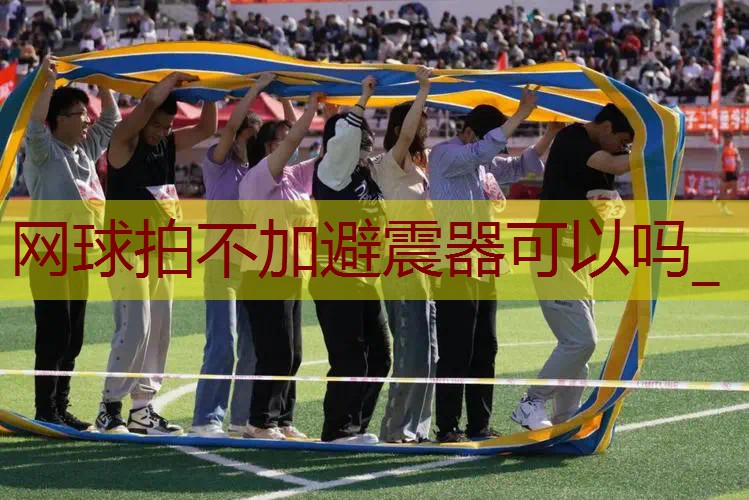 网球拍不加避震器可以吗_