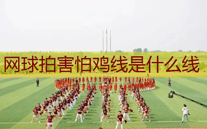 网球拍害怕鸡线是什么线