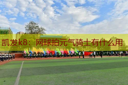 网球拍元气骑士有什么用
