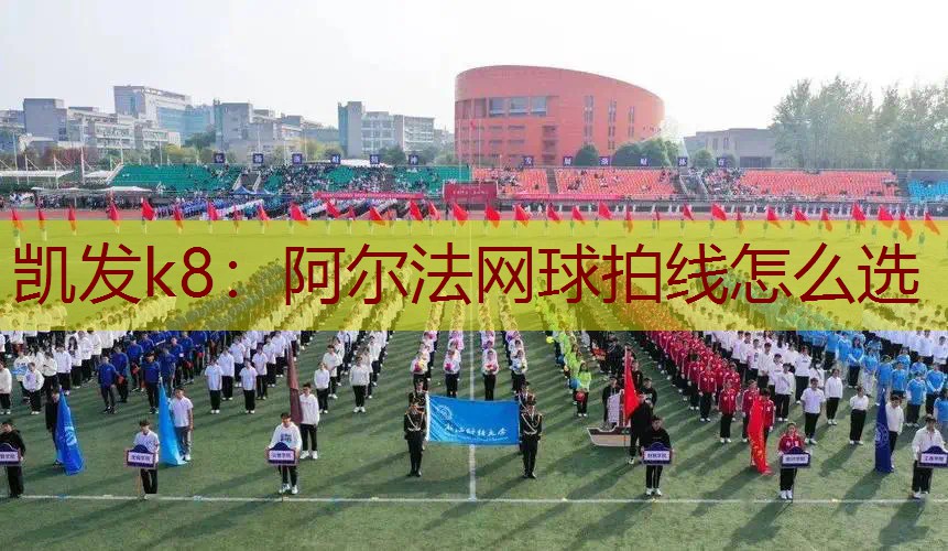 阿尔法网球拍线怎么选