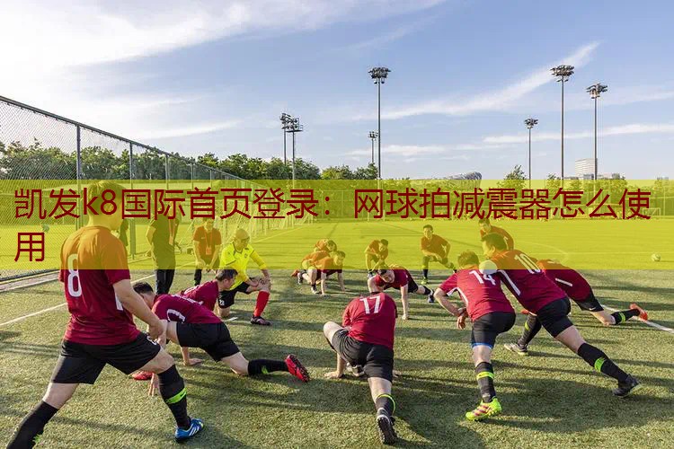 网球拍减震器怎么使用