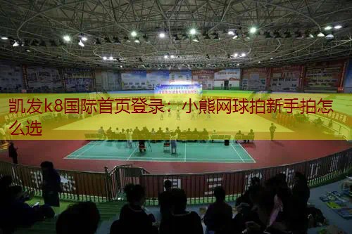 小熊网球拍新手拍怎么选