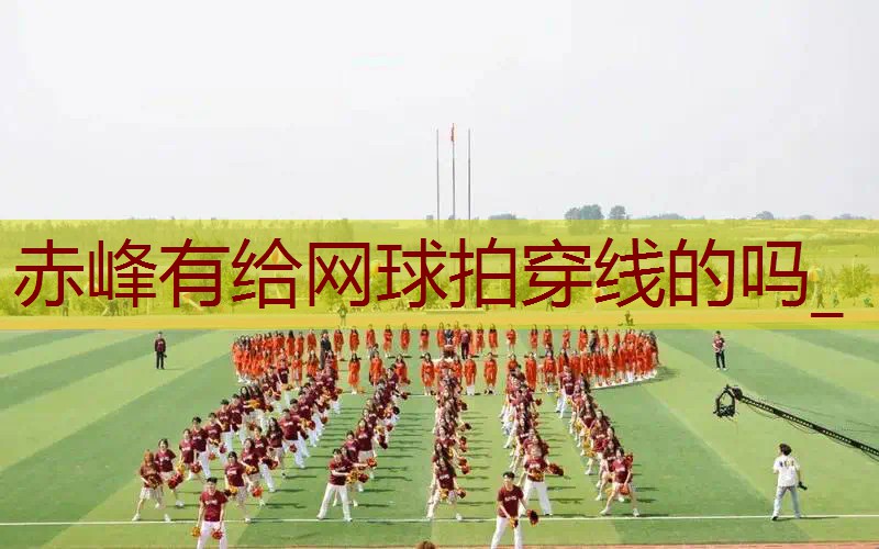 赤峰有给网球拍穿线的吗_