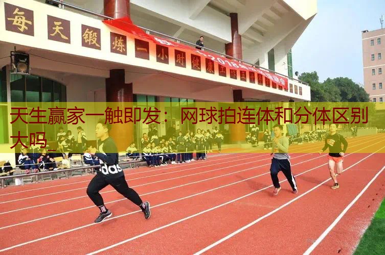 网球拍连体和分体区别大吗_