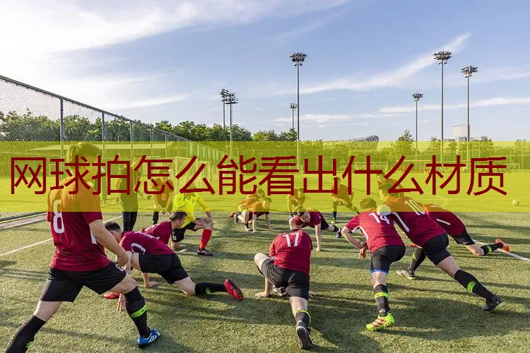 网球拍怎么能看出什么材质