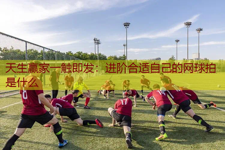 进阶合适自己的网球拍是什么